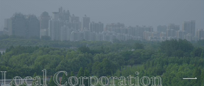 Local Corporation